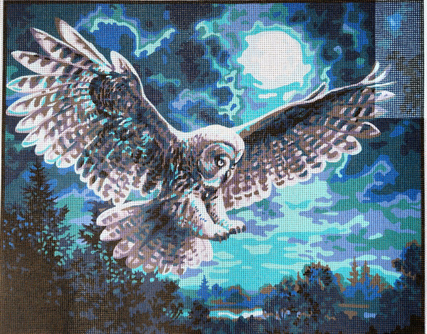 Owl. (20"x24") 11883W by Collection D'Art