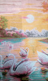 Swans. (32"x52") A2025 by GobelinL