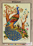 Peacock (24"x32") C909 by GobelinL