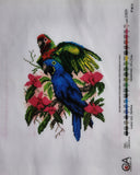 Parrots. (11"x15") PA1009 by Collection D'Art