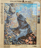 Bear. (20"x24") 11885 by Collection D'Art