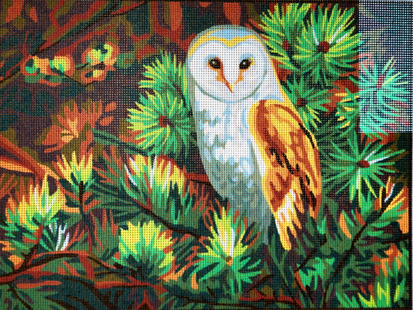 Owl. (16"x20") 10518W by Collection D'Art