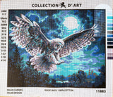 Owl. (20"x24") 11883W by Collection D'Art