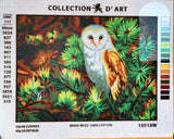 Owl. (16"x20") 10518W by Collection D'Art