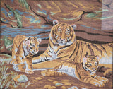 Tigers. (20"x24") 11485 by Collection D'Art
