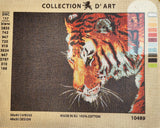 Tiger. (16"x20") 10489 by Collection D'Art