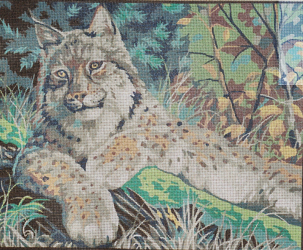 Lynx. (20"x24") 11882 by Collection D'Art