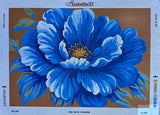 Flower. (24"x32") 10.568 by GobelinL