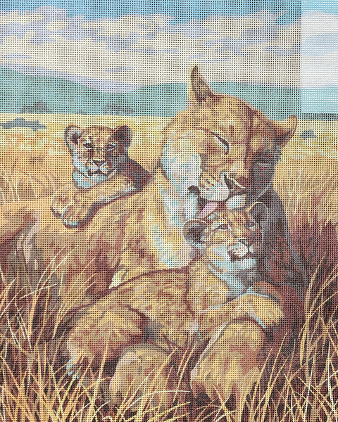 Lions. (20"x24") 11884 by Collection D'Art