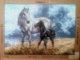 Horses. (24"x32") 10.553 by GobelinL