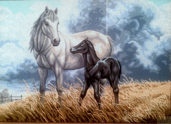 Horses. (24"x32") 10.553 by GobelinL