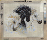 Horses (Equine Study). (24"x28") 12961 by Collection D'Art