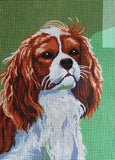 Dog. (16"x20") 10398 by Collection D'Art