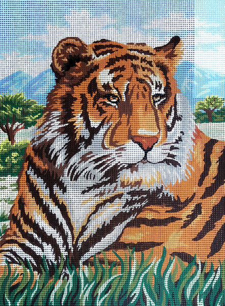 Tiger. (16"x20") 10.415 by Collection D'Art