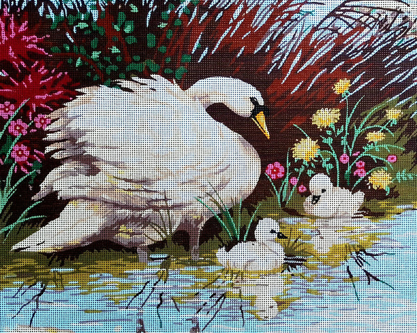 Swan and cygnets. (20"x24") 11863-o by Collection D'Art