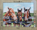 Trio at Farm Gate. (20"x24") 11500 by Collection D'Art