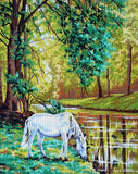 White Horse. (20"x24") 11384 by Collection D'Art