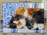 Sleeping Cats. (24"x32") 12992 by Collection D'Art