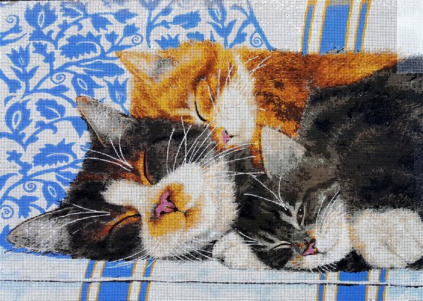 Sleeping Cats. (24"x32") 12992 by Collection D'Art