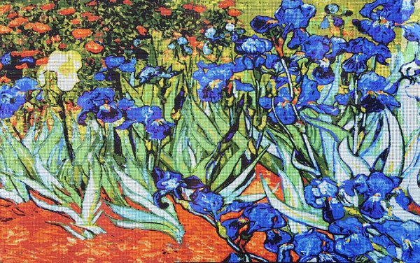 Irises, (Van Gogh). (24"x36") 14282 by Collection D'Art