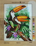 Toucans. (16"x20") 10453 by Collection D'Art