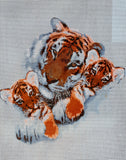 Tigers. (20"x24") 11856 by Collection D'Art