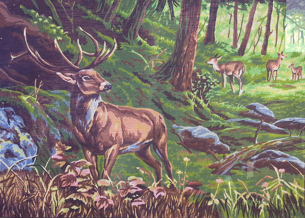 Deers. (24"x32") 12972 by Collection D'Art