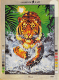 Tiger. (24"x32") 12983 by Collection D'Art