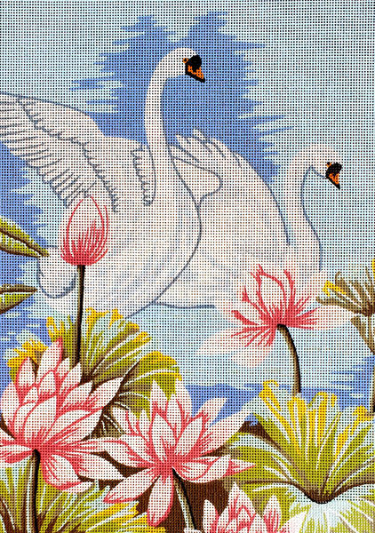 Swans (18"x24") 14.839 by GobelinL