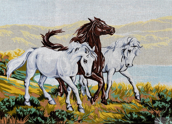 Horses (24"x32") 10.555 by GobelinL