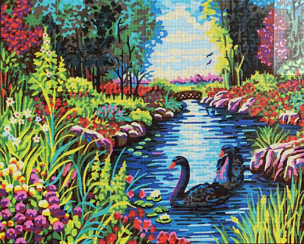 Black Swans. (20"x24") 11871W by Collection D'Art
