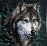 Wolf. (16"x16") PA0970 by Collection D'Art