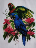 Parrots. (11"x15") PA1009 by Collection D'Art