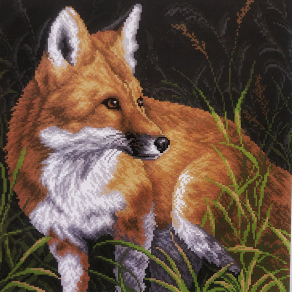 Fox. (16"x16") PA1037 by Collection D'Art