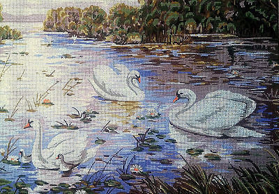 Swans. (24"x19") 14.820 by GobelinL