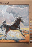 Runing horses. (24"x32") C938 by GobelinL
